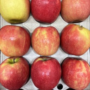 Pomme pink lady