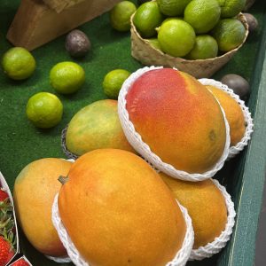 Mangue