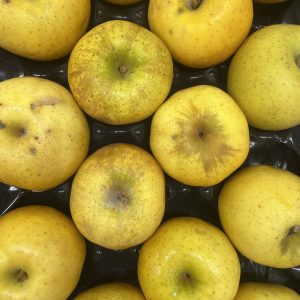 Pomme chanteclerc