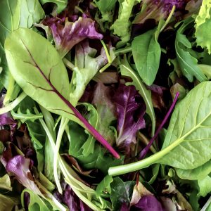 Mesclun