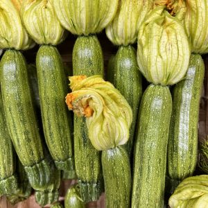 Fleur de courgette