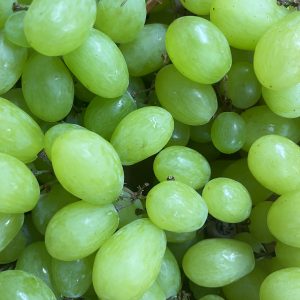 Raisin blanc