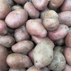 Pomme de terre rouge