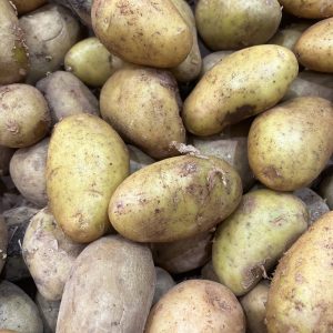 Pomme de terre spunta