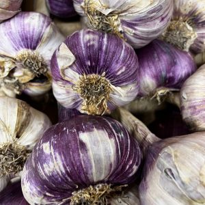 Ail violet