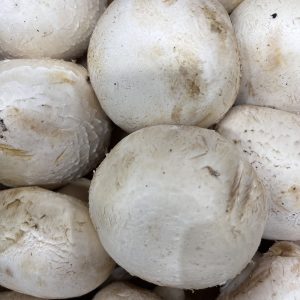 Champignons de Paris