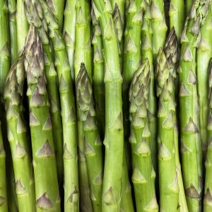 Asperge