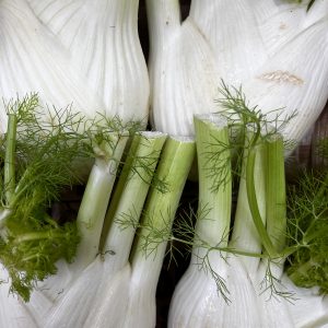 Fenouil
