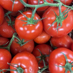 Tomate grappe