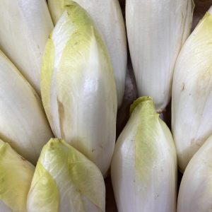 Endive